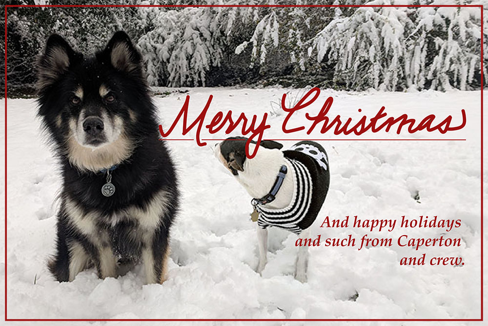 A black husky dog and a black and white rat terrier in a black skull-and-crossbones sweater standing in the snow, with the words "Merry Christmas" in script, followed by "And happy holidays and such from Caperton and crew."