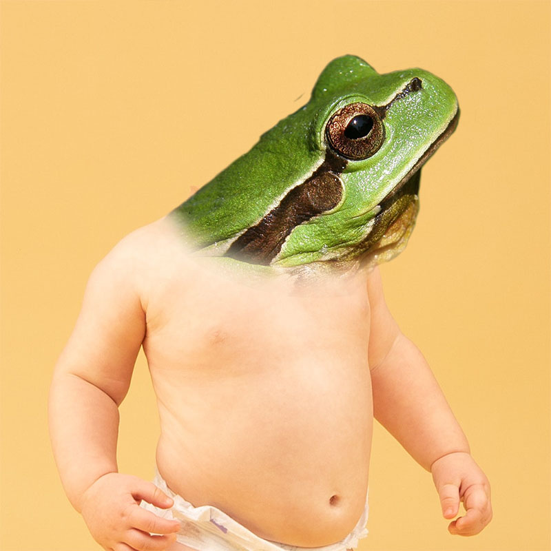 You sure you want this? Okay, you asked for it: Standing against a yellow background is a bizarre and freakish creature that has the head and neck of a tree frog but the torso and arms of a baby wearing nothing but a diaper. So there you go. I hope they’re fun nightmares.