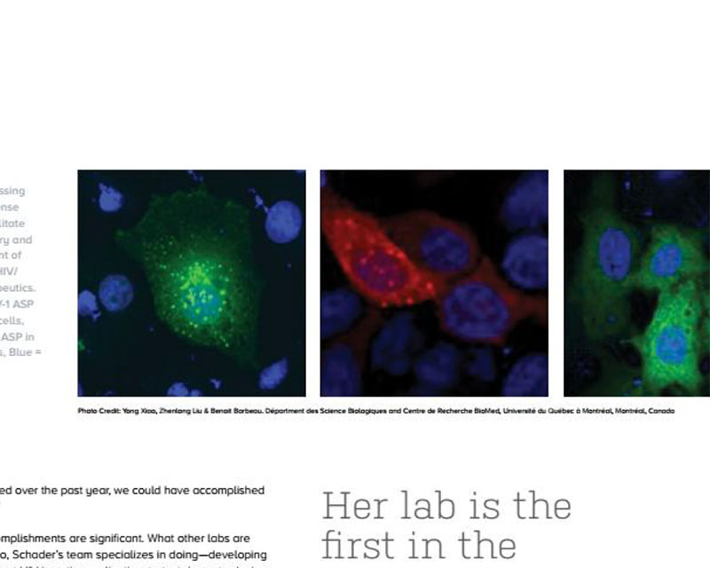 An image clipped from an article about an HIV researcher, showing three electron-microscope images of cells expressing HIV-1 proteins. They’re pink and green and blue on a navy blue background. Some of the other text of the article is visible below the image.