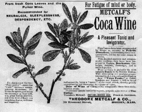 A very, very old ad in black and white. It shows a spray of coca leaves on the stem. Most of the text is blurry and illegible, but we can read the headline, “For Fatigue of mind or body, Metcalf’s Coca Wine. A Pleasant Tonic and Invigorator.” In smaller letters in the upper left, we can read, “From fresh Coca Leaves and the Purest Wine. Recommended for Neuralgia, Sleeplessness, Despondency, etc.”