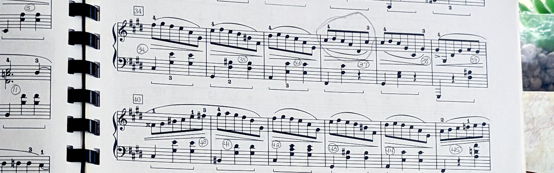 Month: <span>October 2021</span>