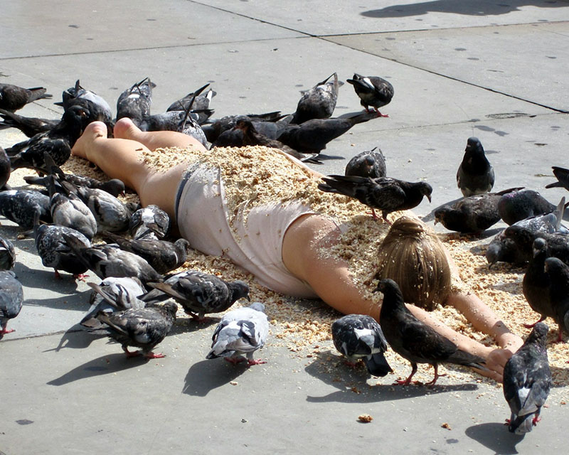 A photo of a woman lying face down on the sidewalk, flat out with her arms above her head. She’s wearing a white tank top and short blue shorts, her blonde hair is in a ponytail, and she’s absolutely covered in birdseed and surrounded by dozens of pigeons eating said birdseed.