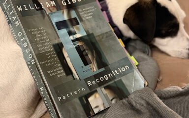 Welcome Back to the CGC VAABC: Pattern Recognition, Chapters 13-21