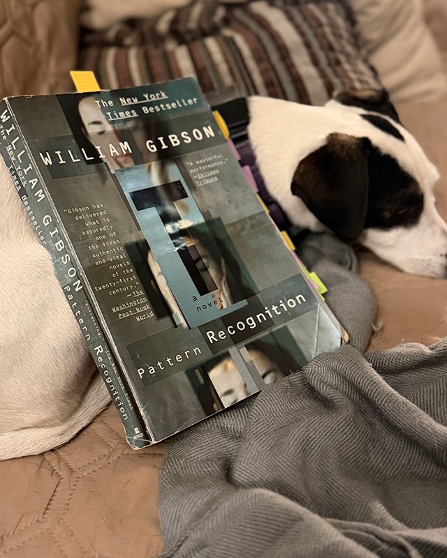Welcome Back to the CGC VAABC: Pattern Recognition, Chapters 13-21