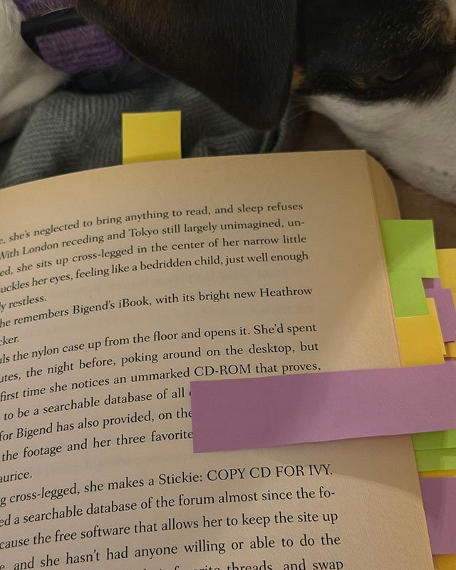 Photo of part of a page of a book, which is lying on a gray blanket next to the very edge of a dog’s head — all you can see is part of a white muzzle and black ear and mask. The page is slightly yellow and very loved, and the book has small, brightly-colored Post-It tabs sticking out from the side and top. On the page we’re looking at, a purple tab is stuck below the word “CD-ROM.”